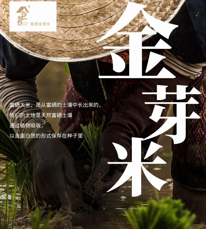 良米倉(cāng)胚芽米