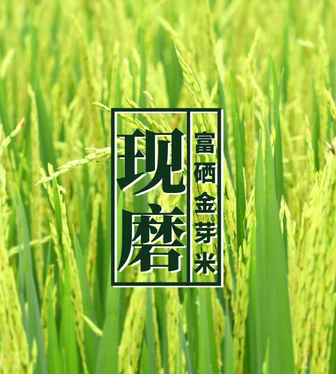 智能碾米機