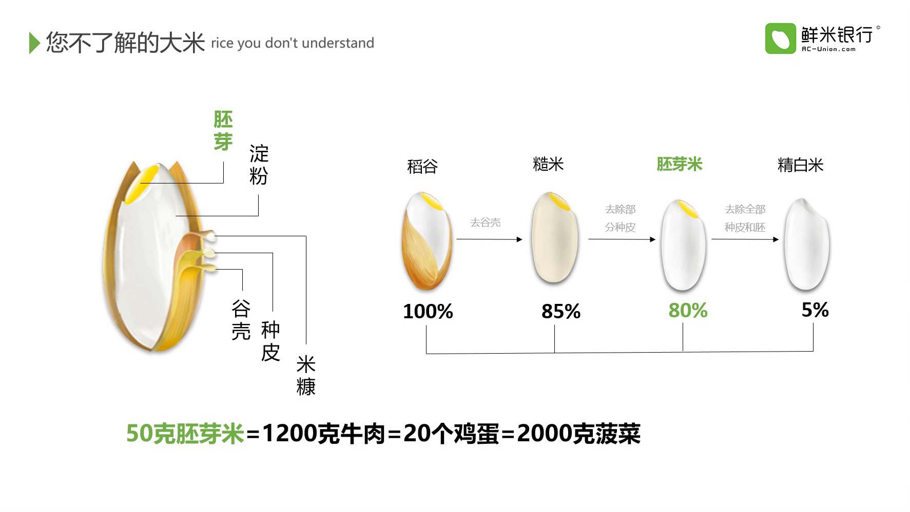 胚芽米對(duì)比圖