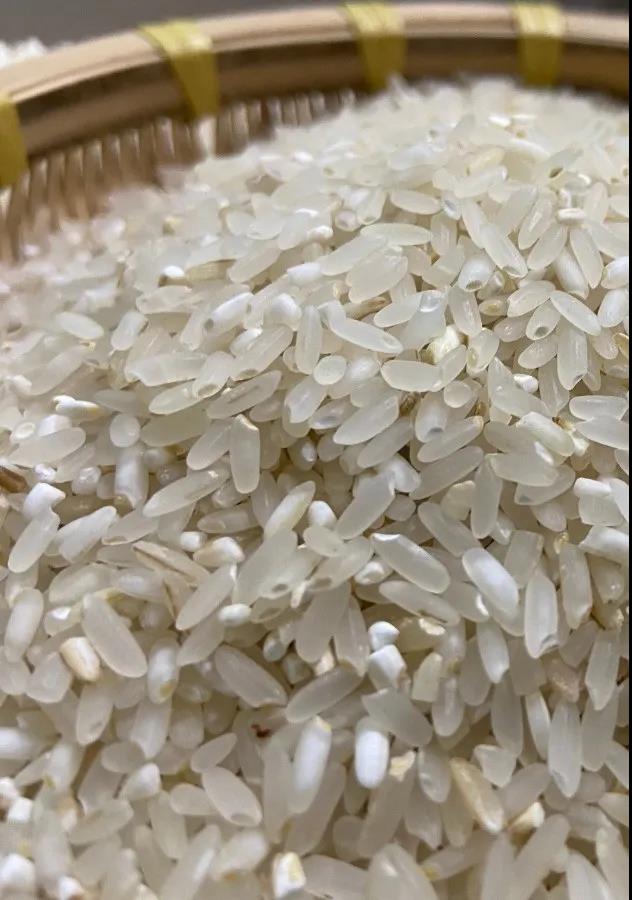 東吉智能碾米機現(xiàn)碾胚芽鮮米