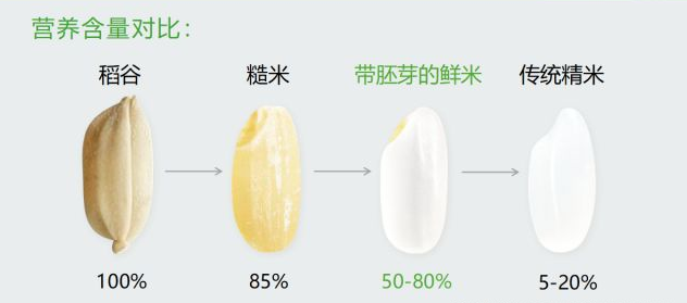 現(xiàn)碾胚芽鮮米營養(yǎng)含量對比