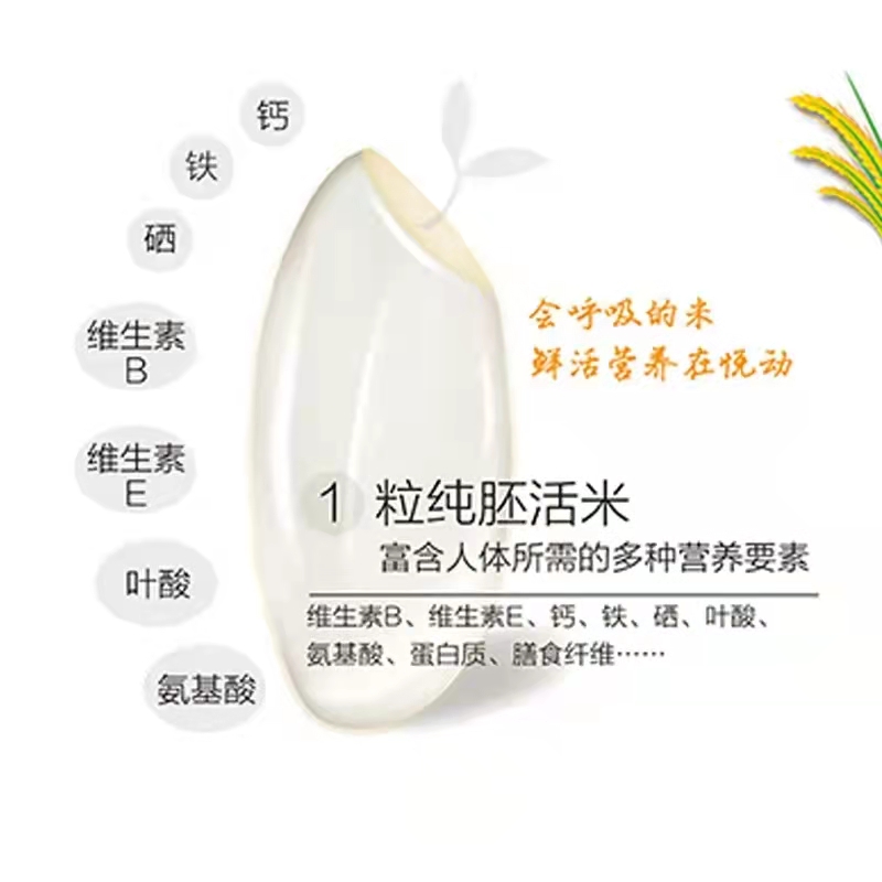 東吉智能碾米機現(xiàn)碾米的營養(yǎng)價值