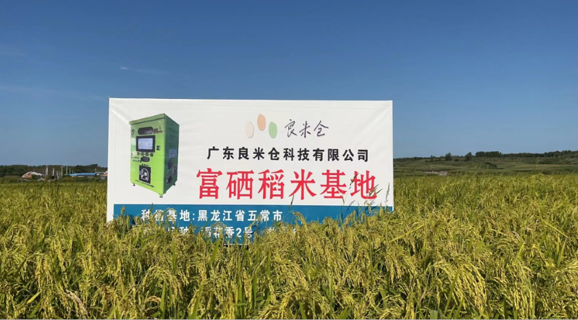 東吉良米倉智能碾米機(jī)谷源種植基地